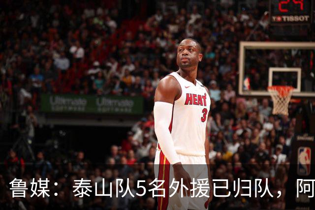 鲁媒：泰山队5名外援已归队，阿尔瓦罗6月份复出难度比较大